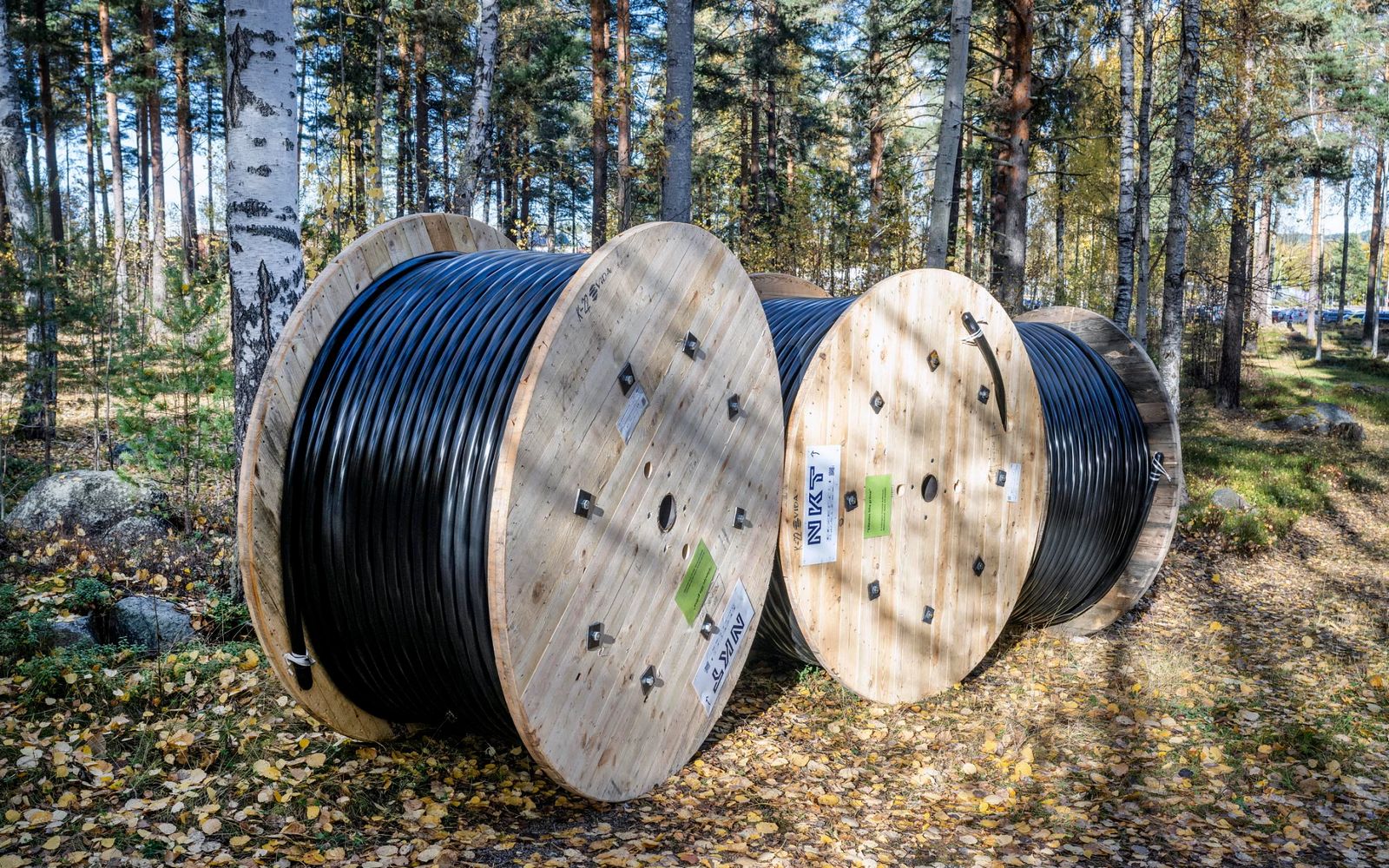 Cable drum woods forest outdoor
