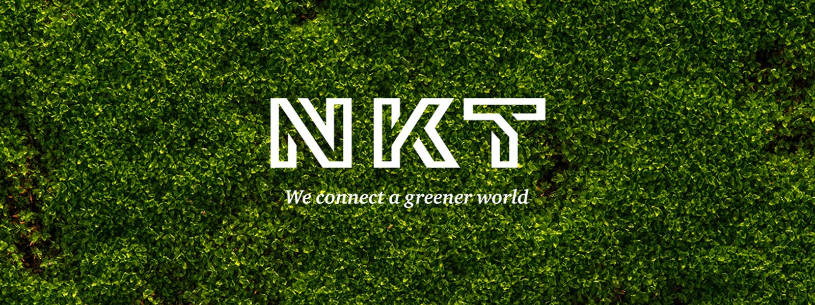 NKT We connect a greener world logo green leaves background