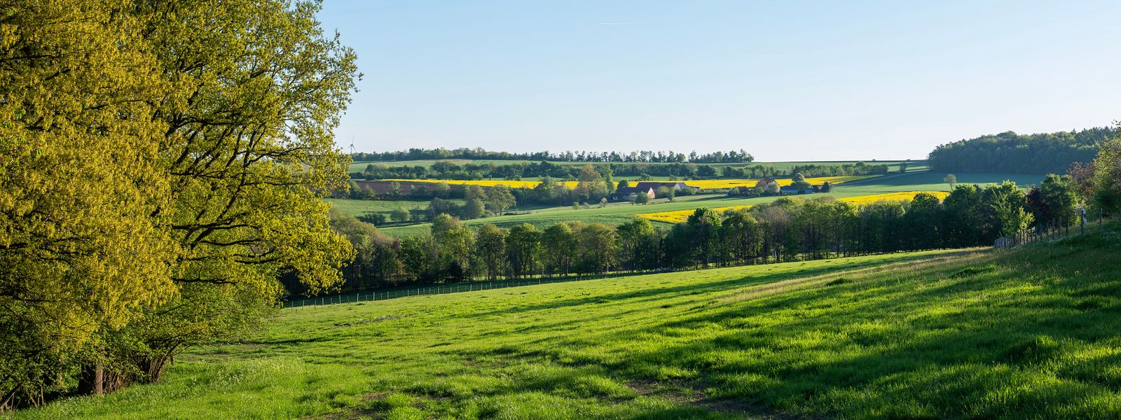 green landscape trees fields